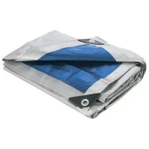 20' x 20' All-Purpose Waterproof Tarp Free Shipping