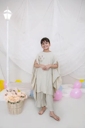 Classic Beige Embroidered Chiffon
