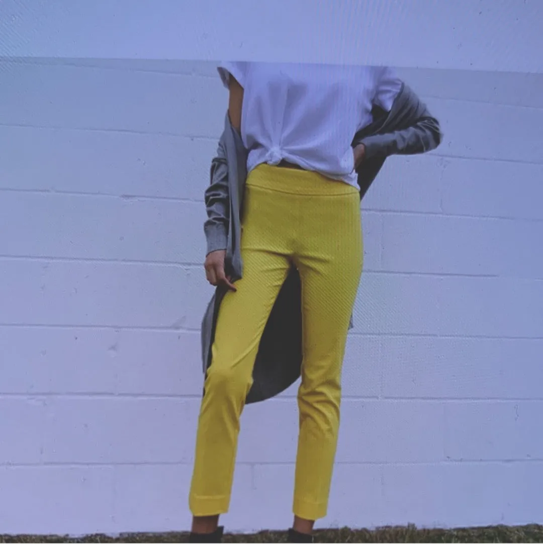 Eric Casual Millenium Pant