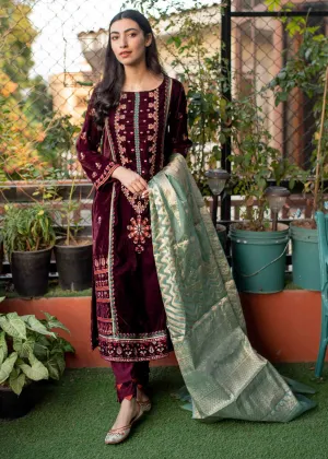Pakistani Velvet Dress with Fine Embroidery #PF261